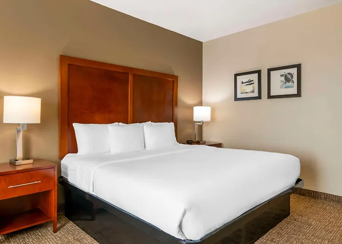 Comfort Inn & Suites Tavares North